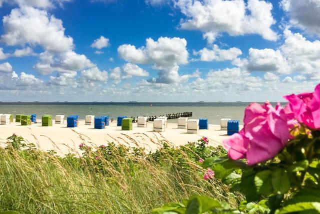 Appartamento Haus Uthlande Uthlande Whg 4 Wyk auf Föhr Esterno foto